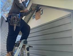 Best Siding Painting and Refinishing  in Roosevelt, NJ